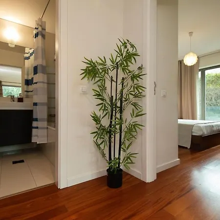 Apartamento Monumental Garden Loft *